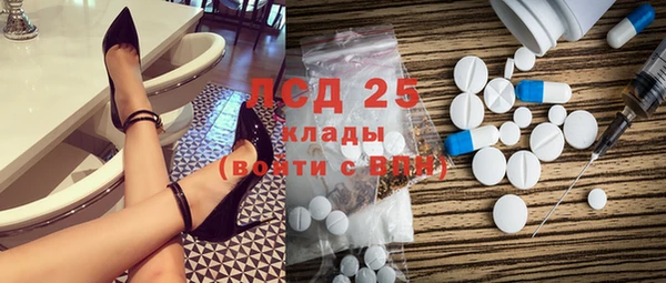 PSILOCYBIN Абдулино