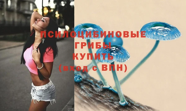 ECSTASY Абинск