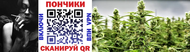 Канабис гибрид  Почеп 